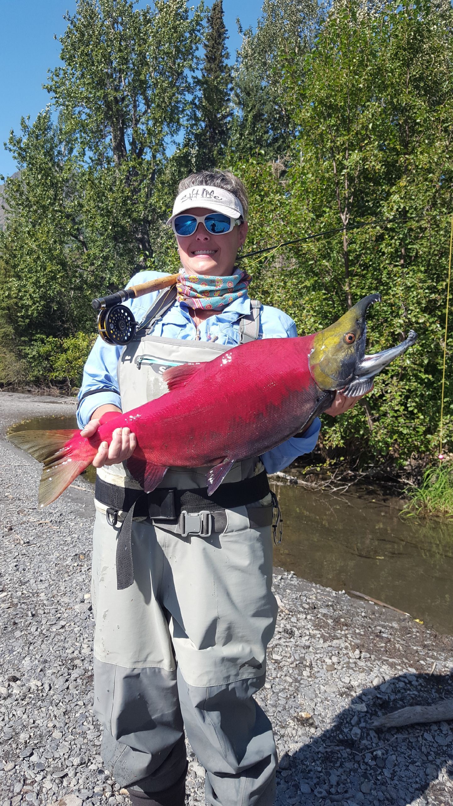 Sockeye Salmon Fish Mounts & Replicas by CoasttoCoast Fish Mounts